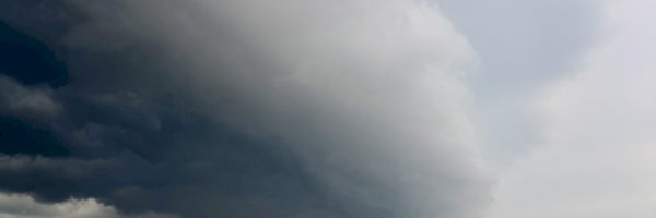 Profile cover